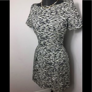 French Connection dress